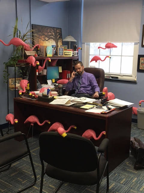 fc99e22b6c7aee52c217_650e94baf9f44782cfb1_Principal_A_Surrounded_by_flamingoes.jpg