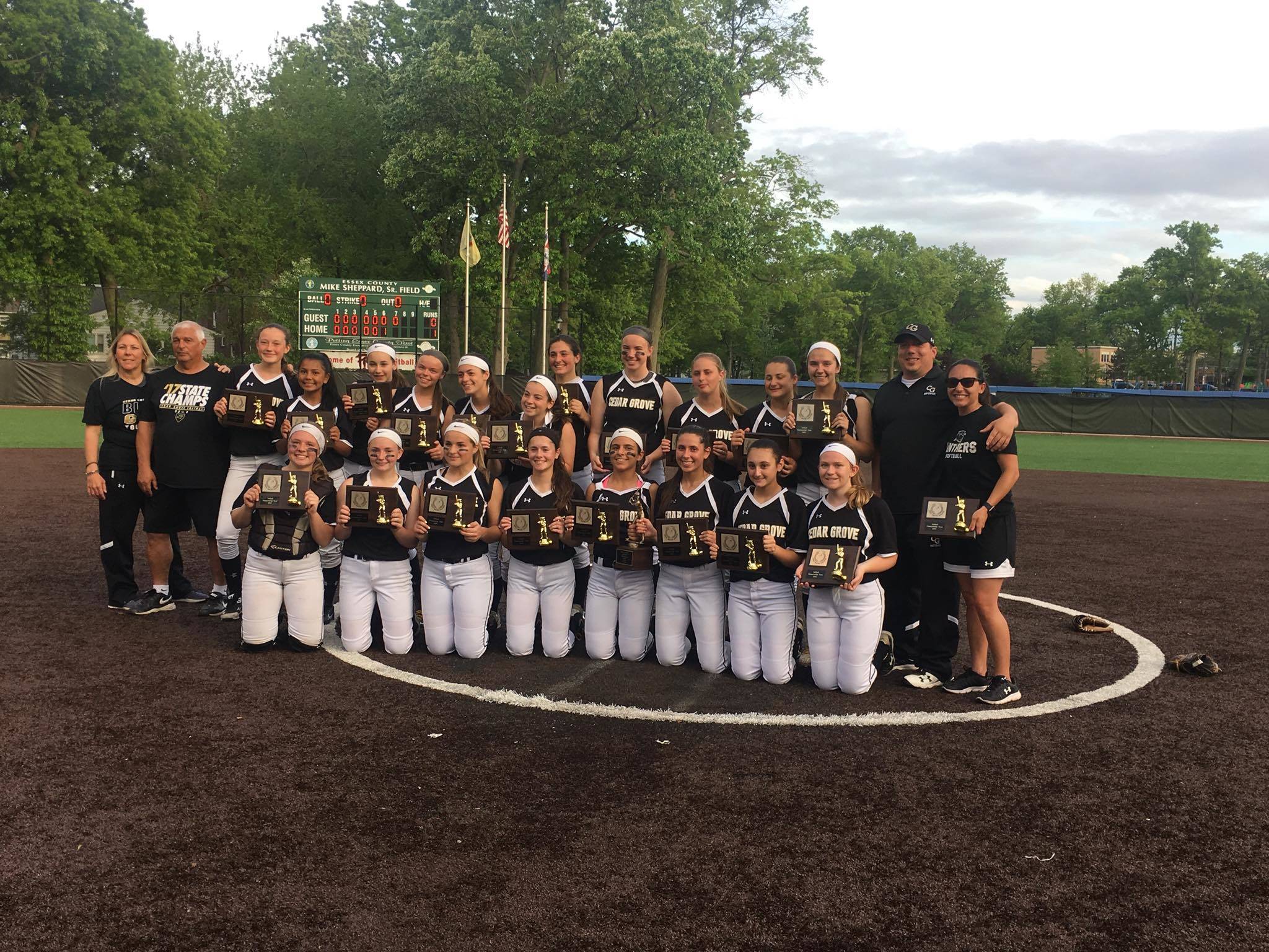 fcac0db021b303fd2001_e11de8fb61546edc6469_softballECT.jpg