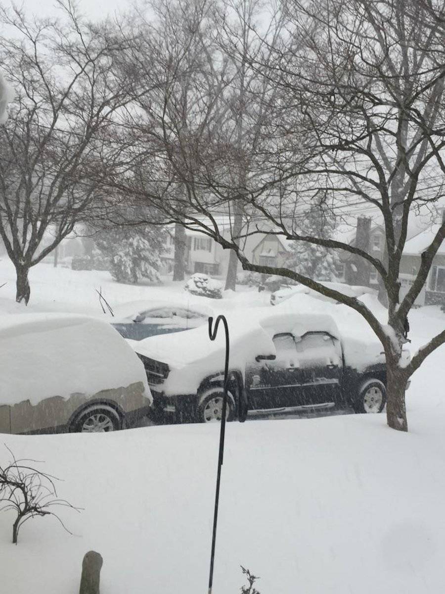 fd5c53ad0083c54d4f77_2079545f06a084ed2dfd_snow_clark3.jpg