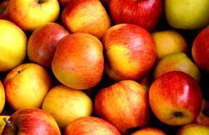 fdc325eac1029b1c84d7_5bfabad613854d7927e5_carousel_image_1b30fe0c26eac3eab632_apple-fruit-fruits-delicious-162806.jpeg