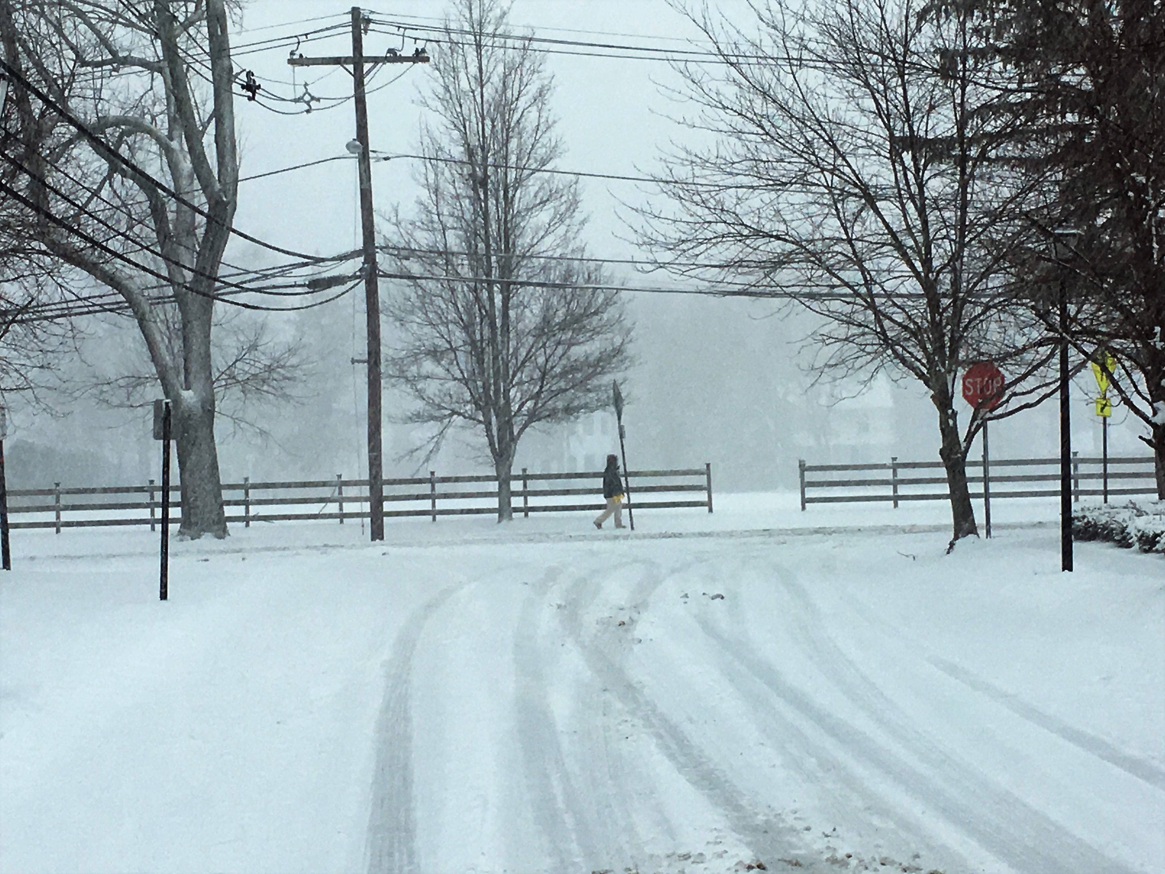 ffe18494d662d2a24387_7ae741729ef552cda4ef_snowday.jpg