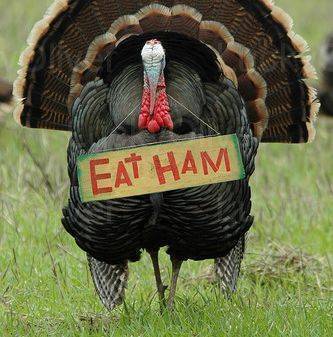 ffeb02aed9e7af15e918_691800383ff98fe3127d_eat-ham-turkey.jpg