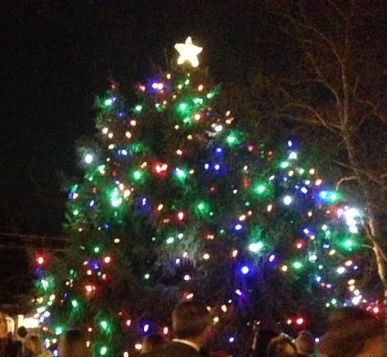 free christmas tree recycling into mulch now through jan free christmas tree recycling into mulch now through jan
