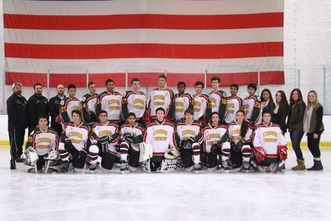 e51975b5e06cb7ccd3c0_hockey.jpg