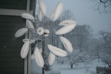 734f438760d01d90ce3b_722photo6_ts2.jpg