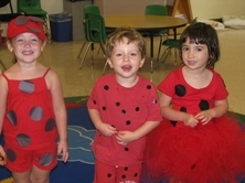 36c459317be2542e1e98_bugs_ts2.jpg