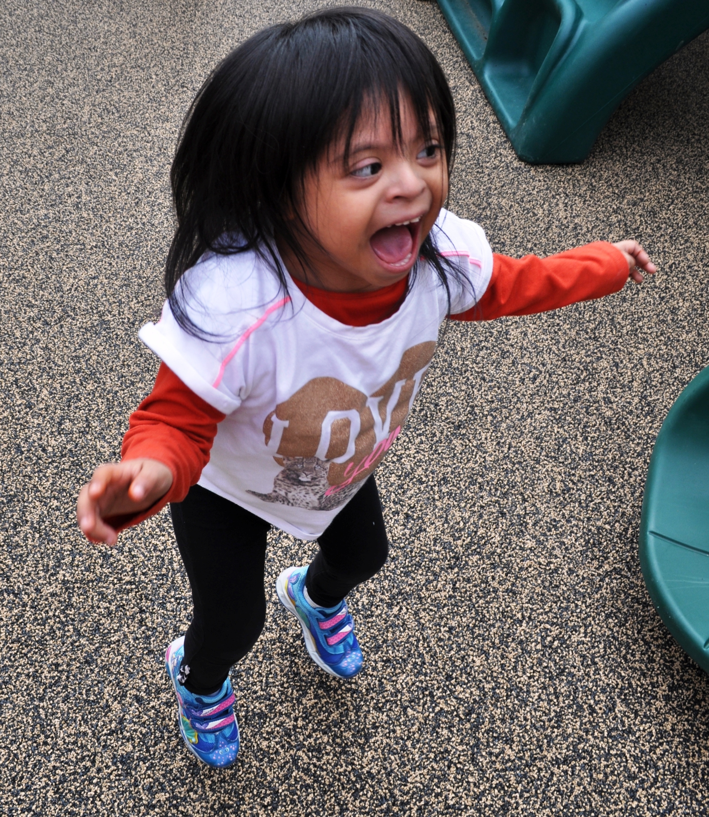 fb3cc2927e171fef4ddf_745450c1d586dbc4e72d_Playground_excitement_cropped.jpg