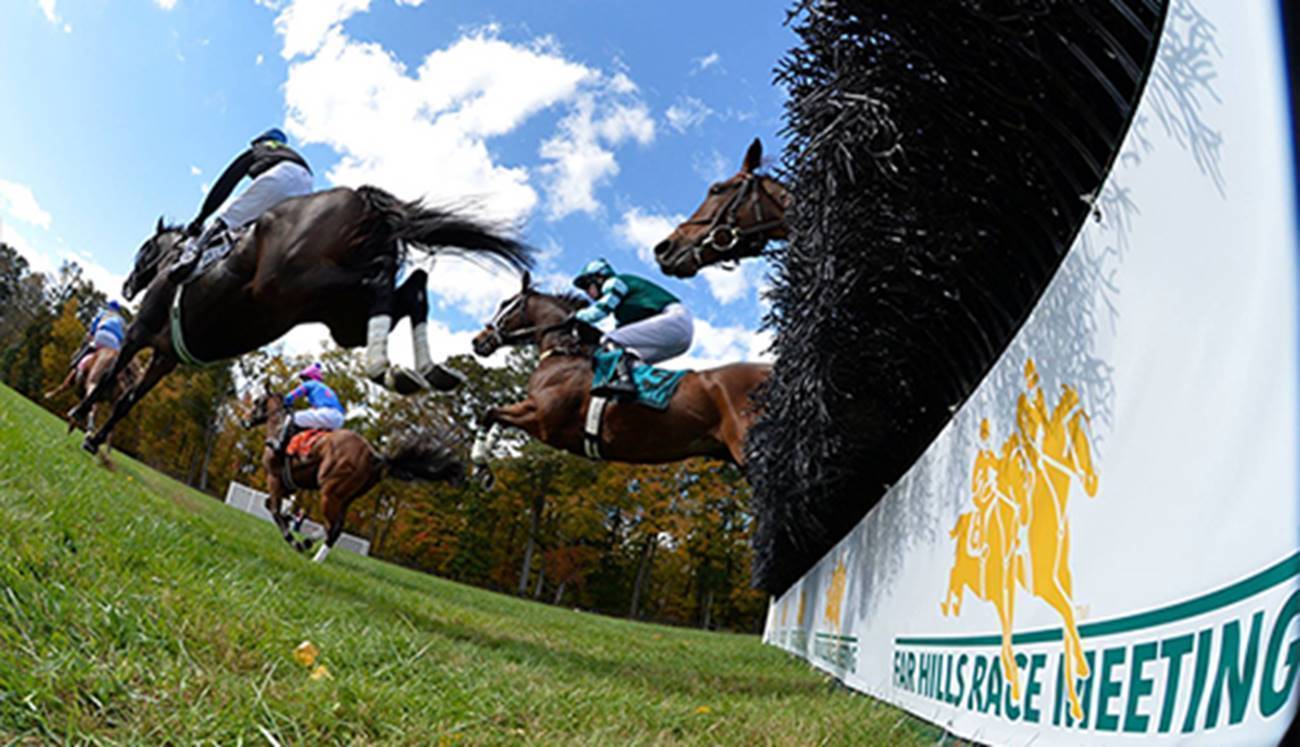 5948ce1ca70440de489c_a06c67d0c86991362b7c_sompixsteeplechase.jpg