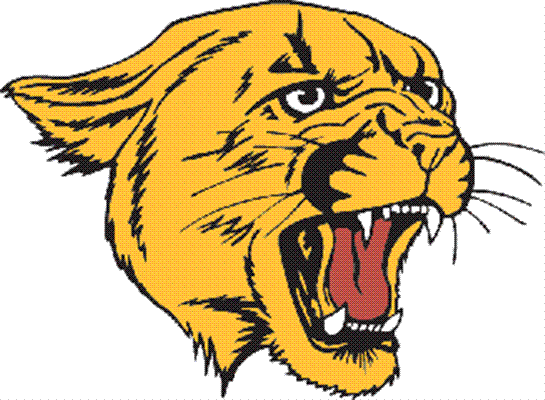 3a077f21b012616a4162_teamLogo-41.gif