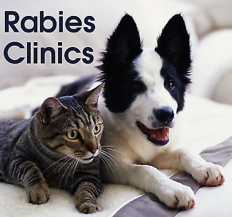 a201bda5aa7c2a6a413d_rabies_clinic-cat_and_dog.jpg