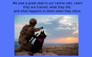 Carousel_image_d21d8deedaeea26f2c92_screen_shot_2020-10-28_at_9.42.42_am