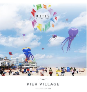 Carousel_image_e18ab88a80b6086eafdf_untitled