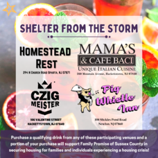 Carousel_image_fa46184cc53788c6e0c8_shelter_from_the_storm_social_media