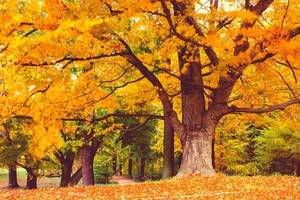 Carousel_image_fb9b38e4d3c20b33f174_mini_magick20201108-70294-1p33l2e