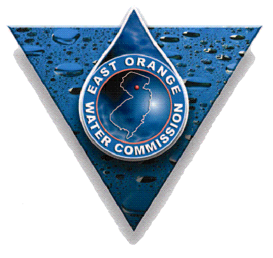 981ee6d94280a1de2721_EOWC-Emb.gif