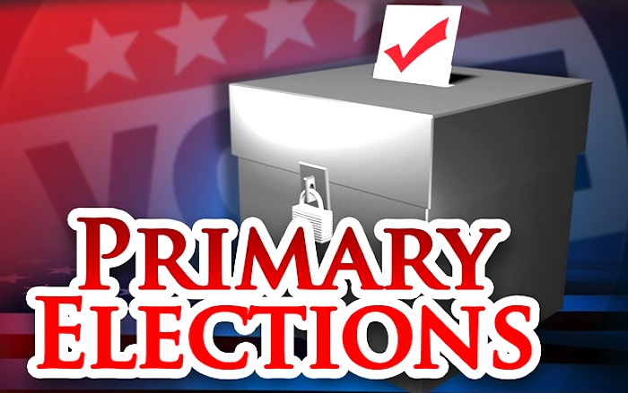 6a162e46d3f30f1b78c4_primary-elections.jpg