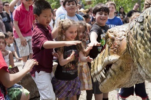 469ffafd0dad606331a4_Library_FSD_T-Rex_1_sm.jpg
