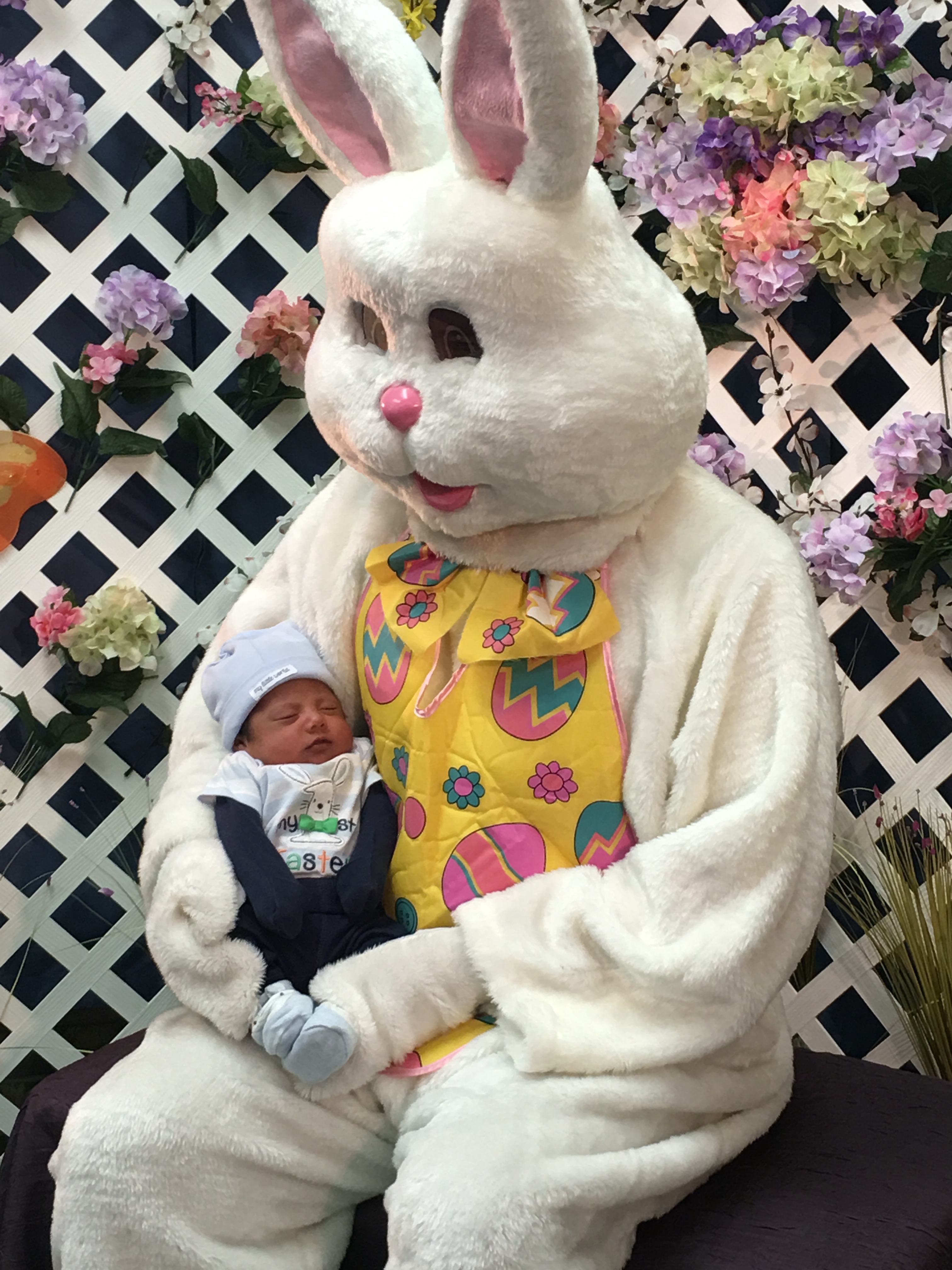 10a5c960ea572553640f_7376e1150592b9fe3074_f572e6a0c05781abf213_easter_bunny_1.jpg