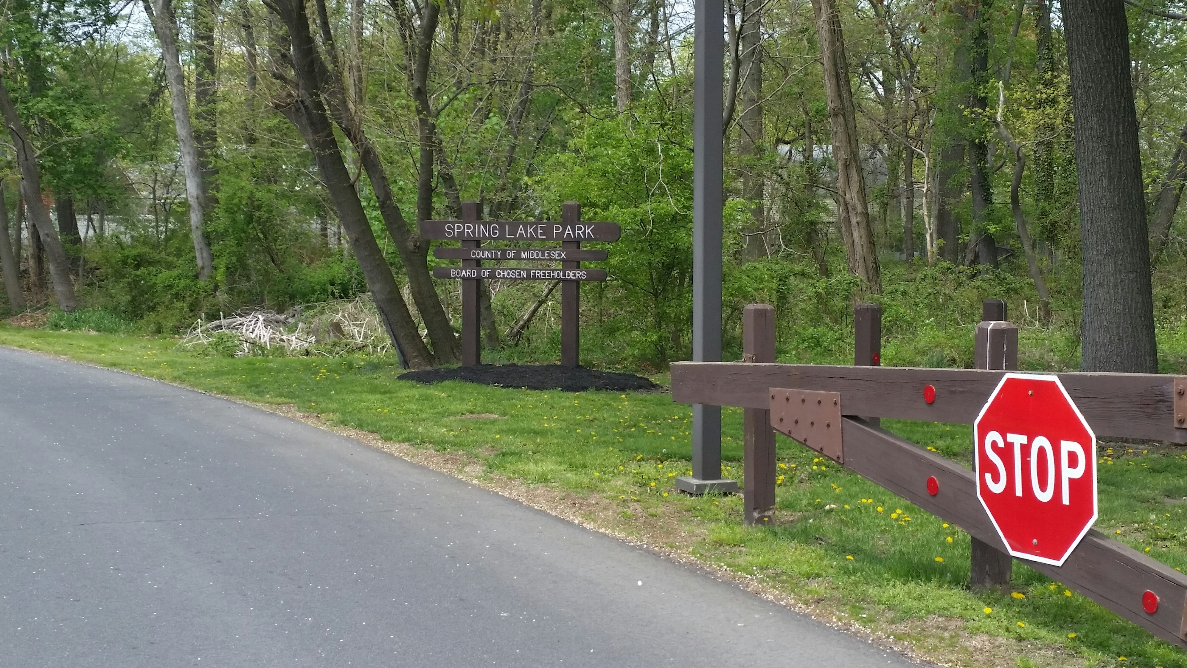 Resident and Pet Mauled by PitBull Terrier Mix at Spring Lake Park in