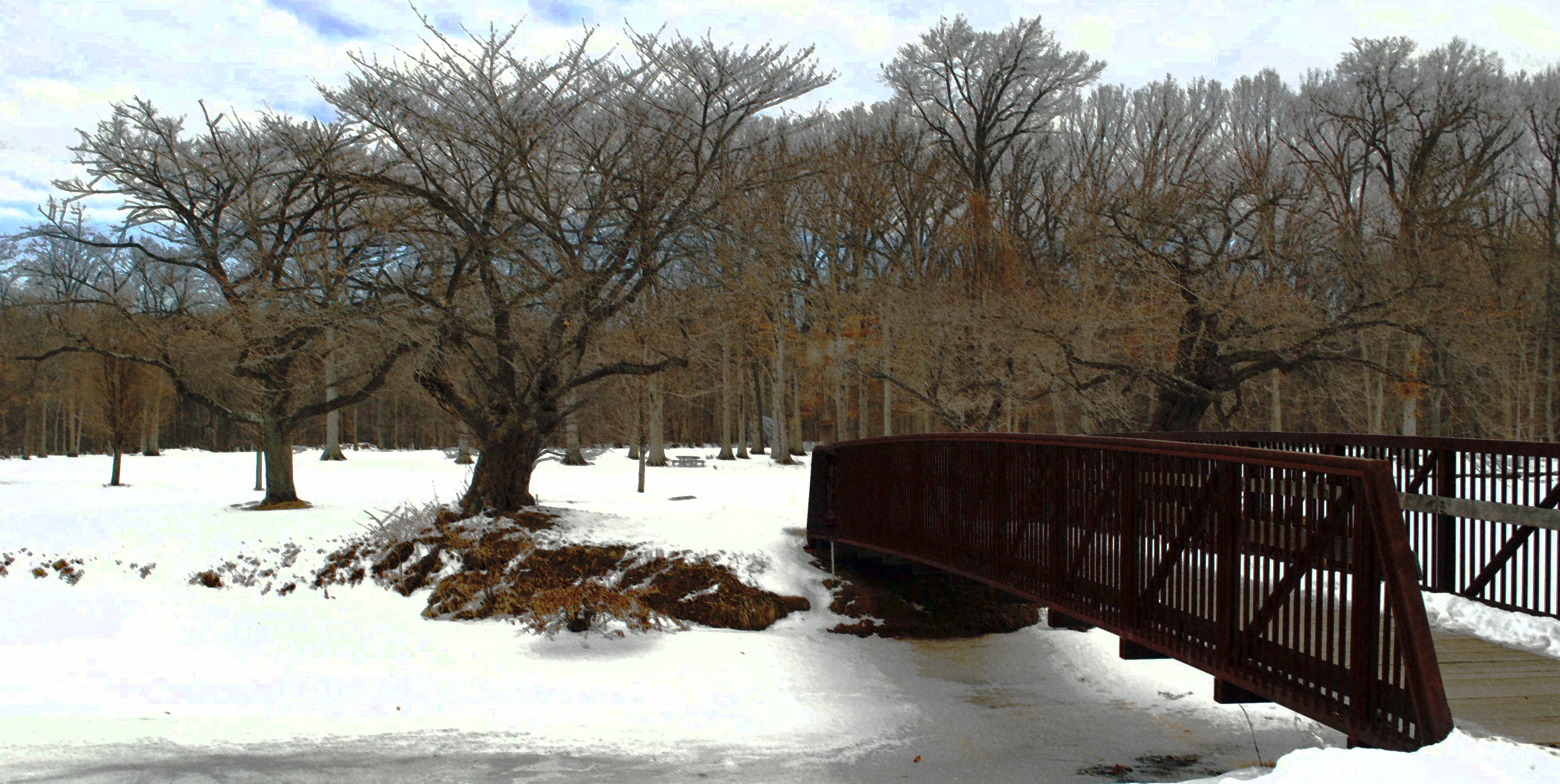 005e396c9e6a9accd774_e8bc92ca06124274e3a2_Winter_Nomahega_Bridge_2_2.jpg