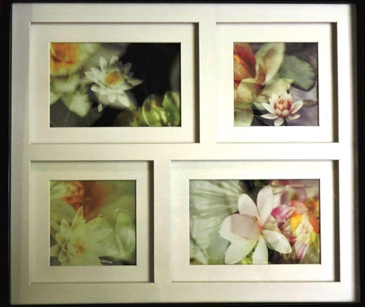 c23b679e3cd8286ca4eb_07cdf5304f0193a27dbf_expressionsflowers.jpg