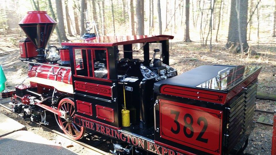 Livingston Resident Donates New to the Essex County Turtle