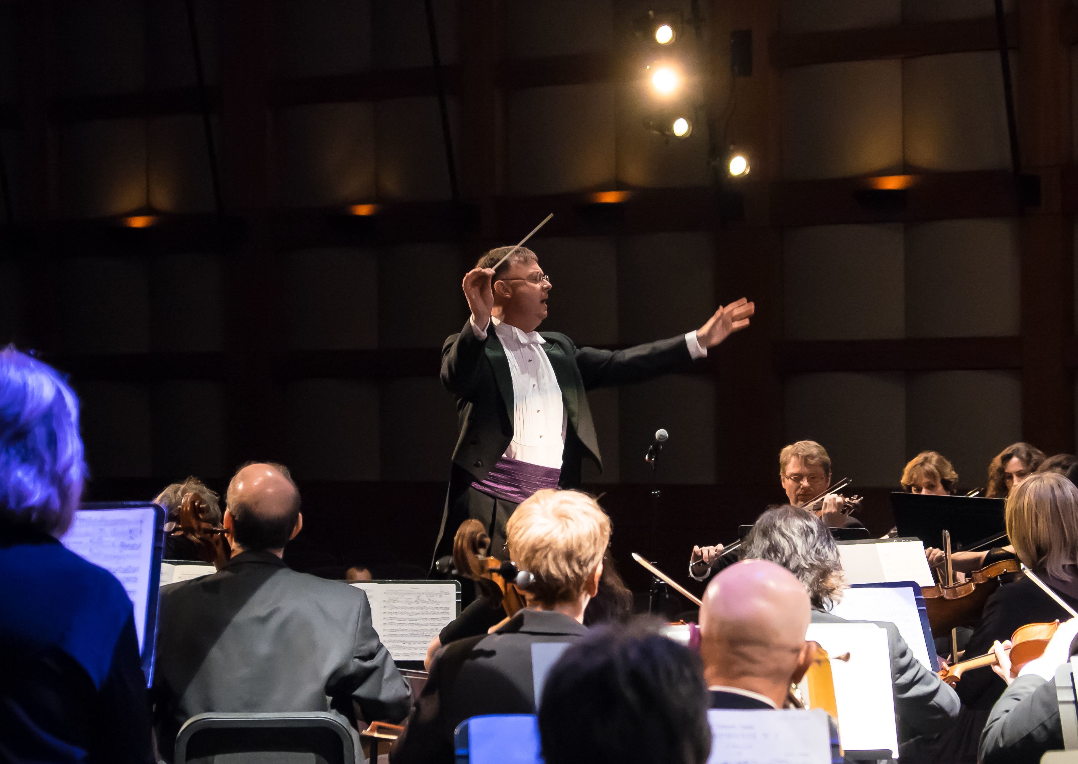 1e77b3df6105b27f8563_9672f0a201c36c852bcf_orchestra.jpg