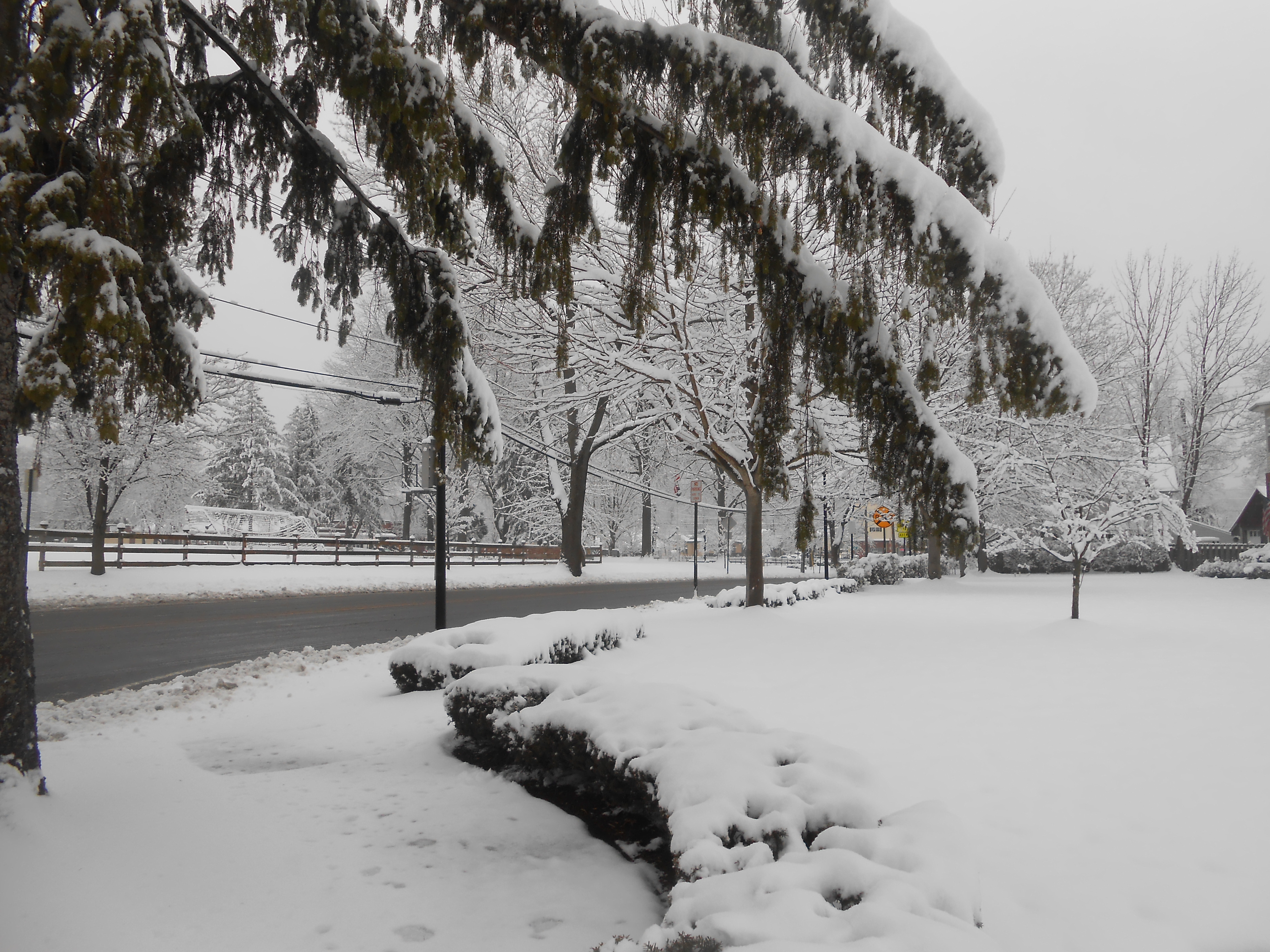 1ff000fd572bad440dc6_snow.jpg