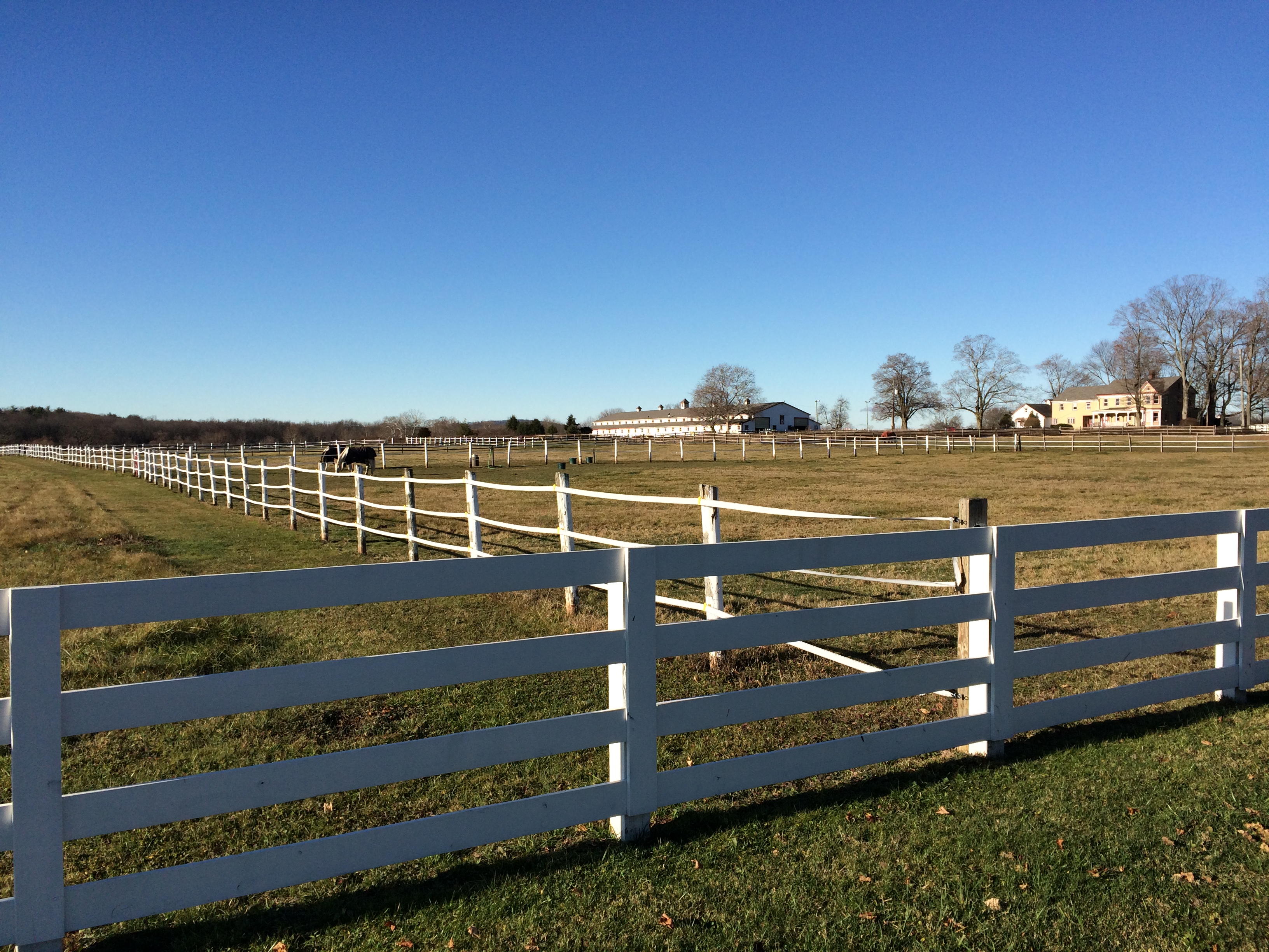 0b021aae8b6943cf7a69_Lana_Lobell_Farm_Bedminster.jpg