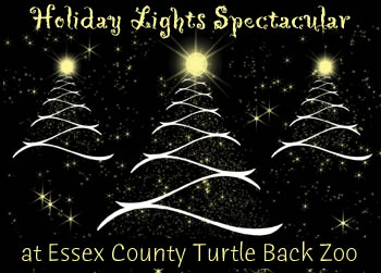 b353dd62d4abccb07fdd_holiday_lights2-turtle-back-zoo.jpg