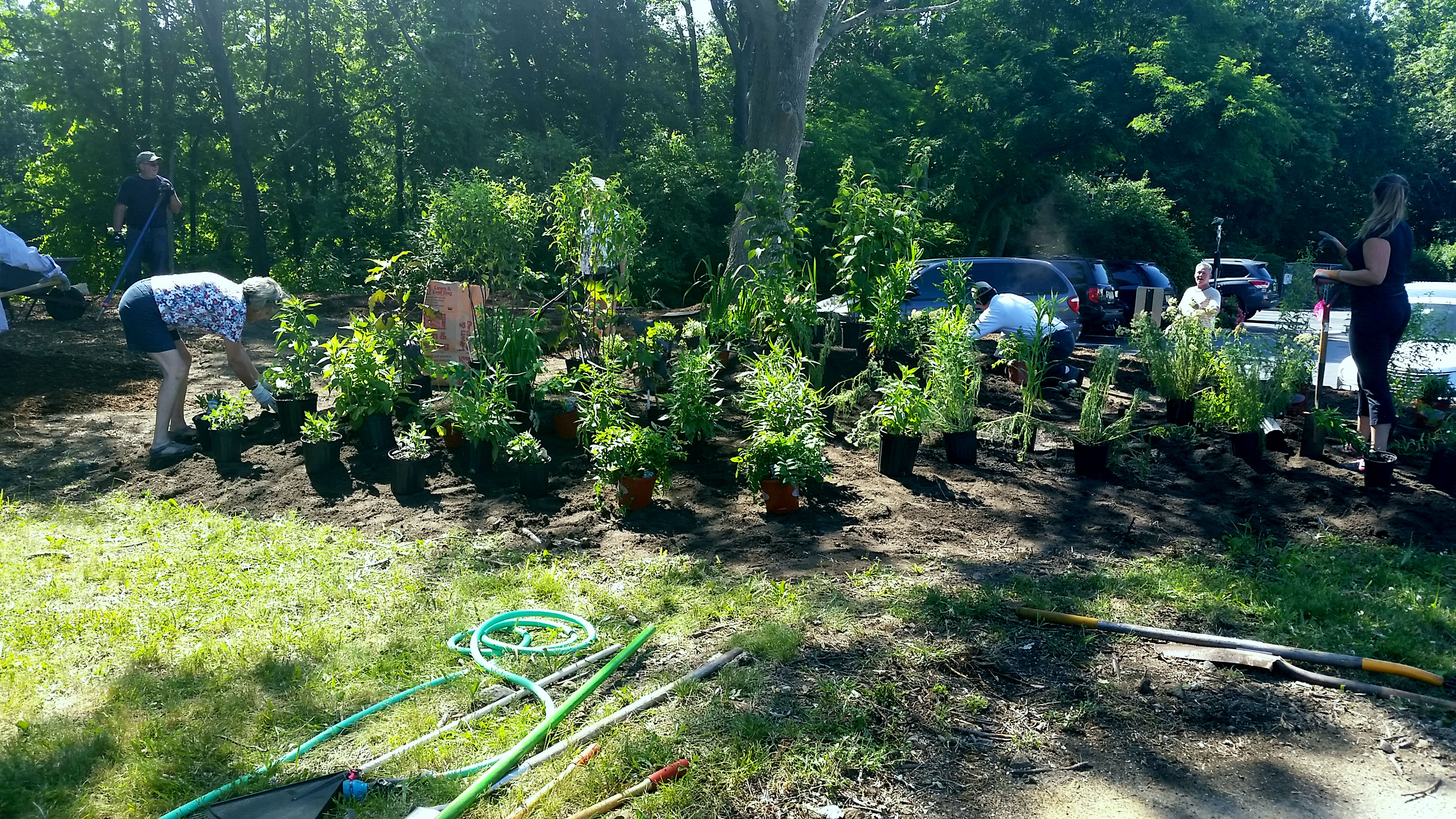 d9646ff95755b1ed2fda_6e1bf53ce64034340ae1_12597ea4bfd3f4792b97_Waiting_plants.jpg