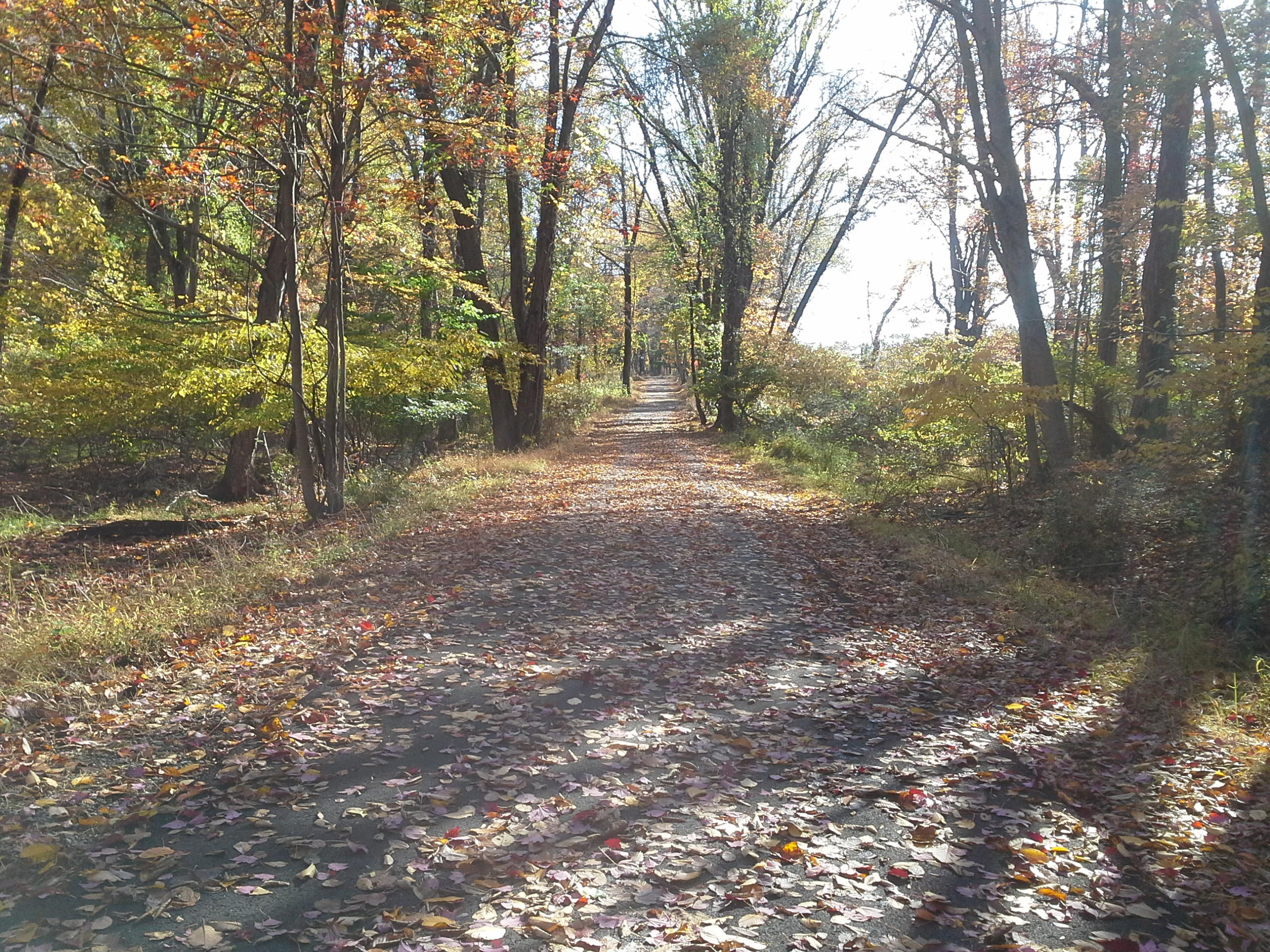 3e4e6fea141cc85fcae7_2014-10-17_10.30.25.jpg