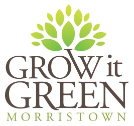 8e35fb58d67107074e66_3dde9d511f800669c5b8_grow_it_green.jpg