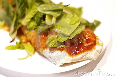1e09fe3c6418081d6348_Fish_burrito-lunch.jpg