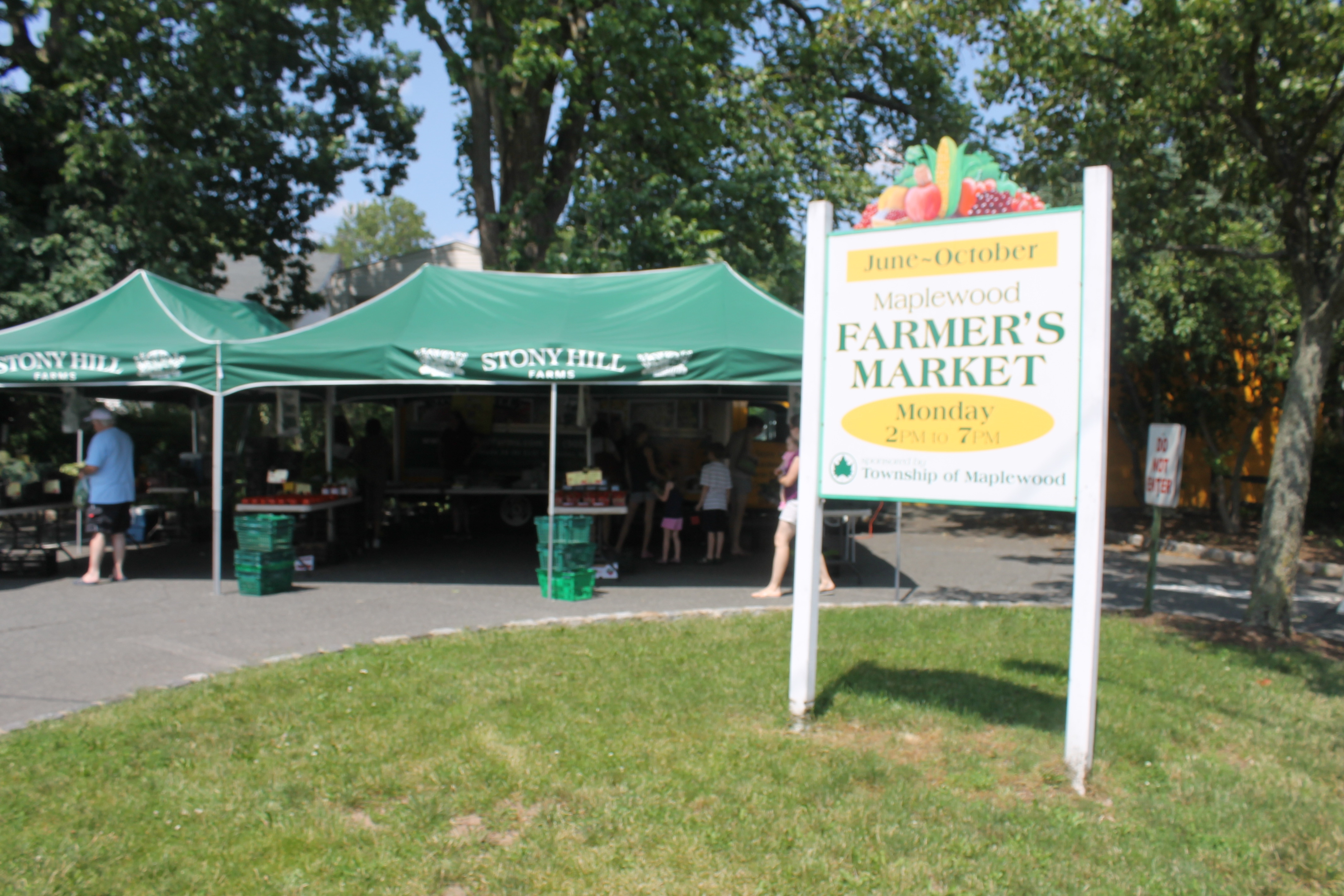 b325d01f46ab9c4848c6_fef250fc50ba523b6591_Maplewood_Farmers_Market.jpg
