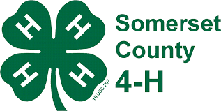 56faf38e418ed9c9623d_sompix4hlogo.jpg