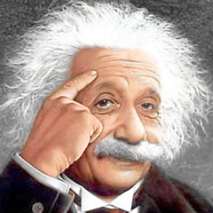 7079b1bec3037623a232_einstein-gray.jpg