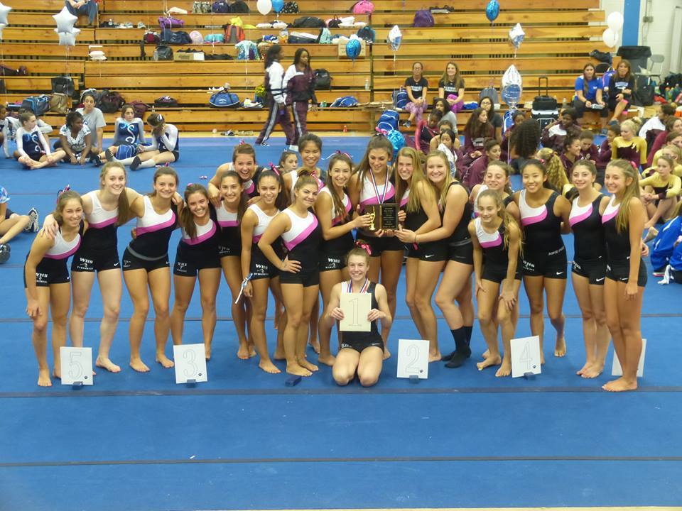 f24845e34fba2904ca52_12df6435f773f24cc911_gymnastics.jpg