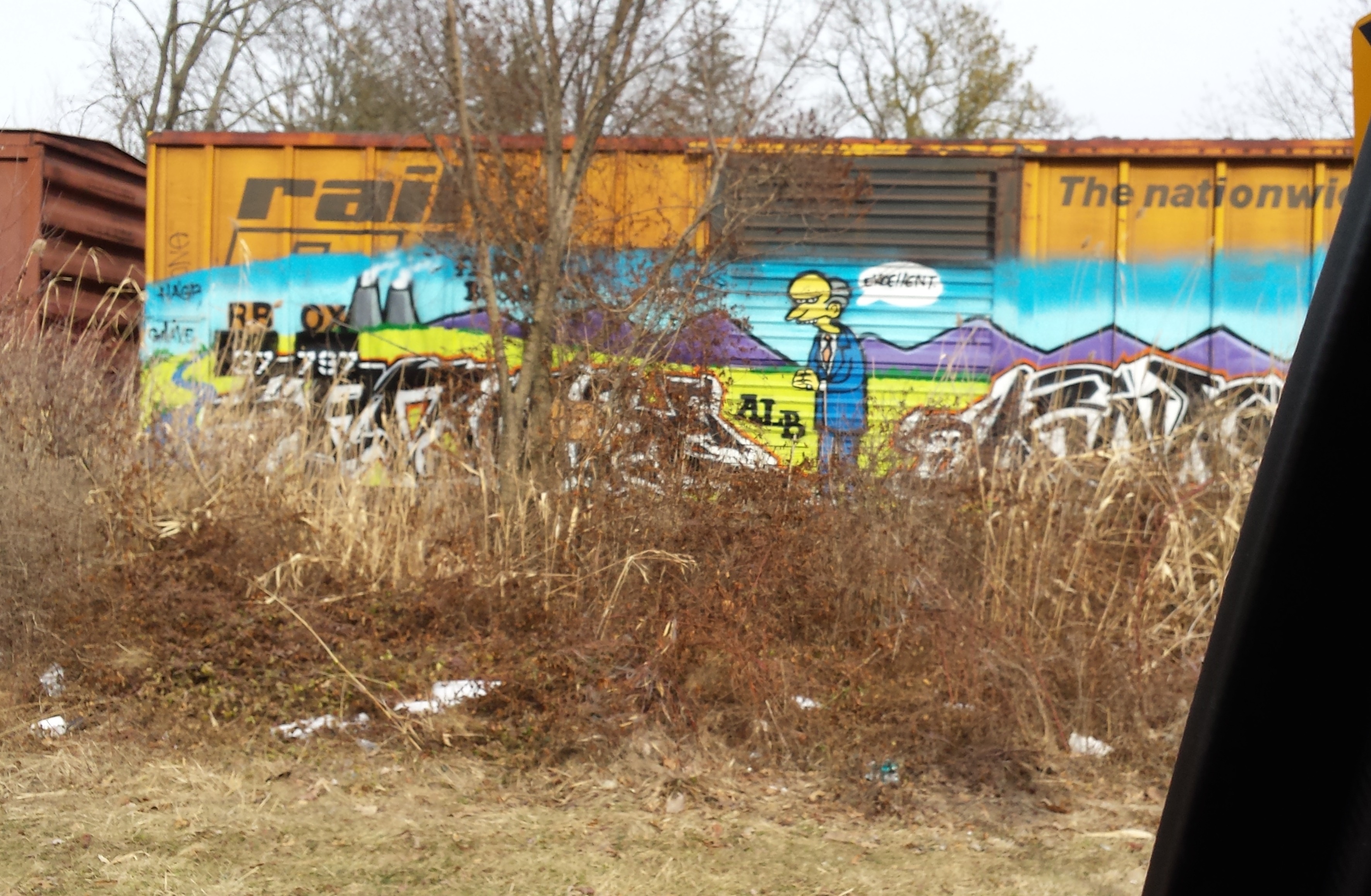 940873a35cf7c02407a5_20140307_150540.jpg