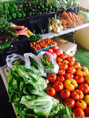 04f5d582e165933327fe_veggies.jpg