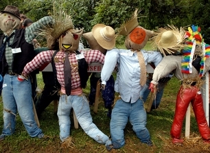 61373f6d9ced79b882f7_747harvestfest_ts2.jpg