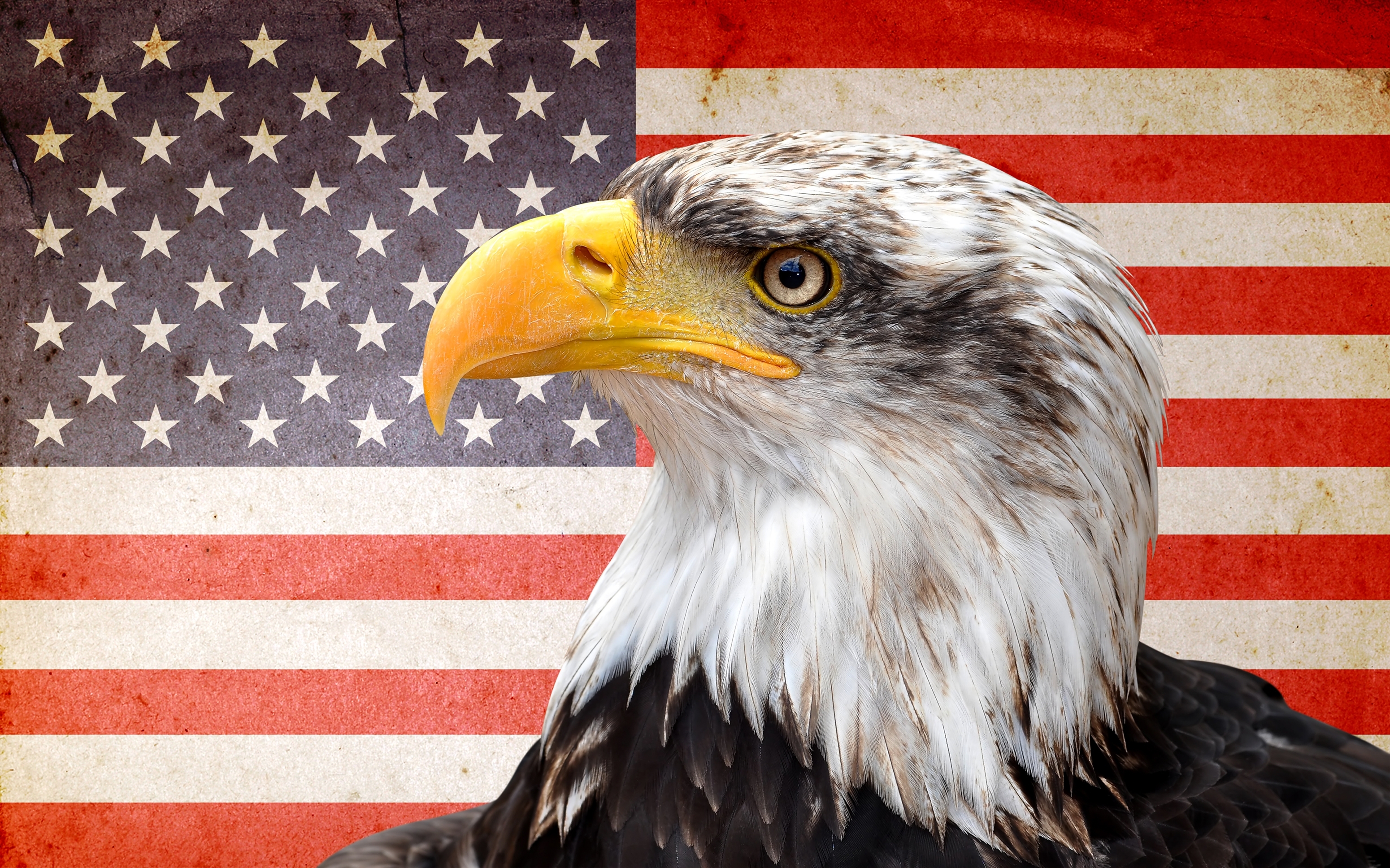 a9ea4f3b6f88671927a9_0914e86ed89a0f35aa9b_Eagle.jpg