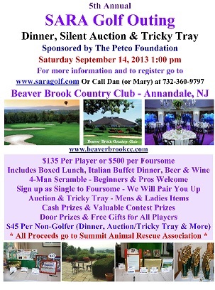 d735ae330c69128a7275_small_size_golf_flyer.jpg