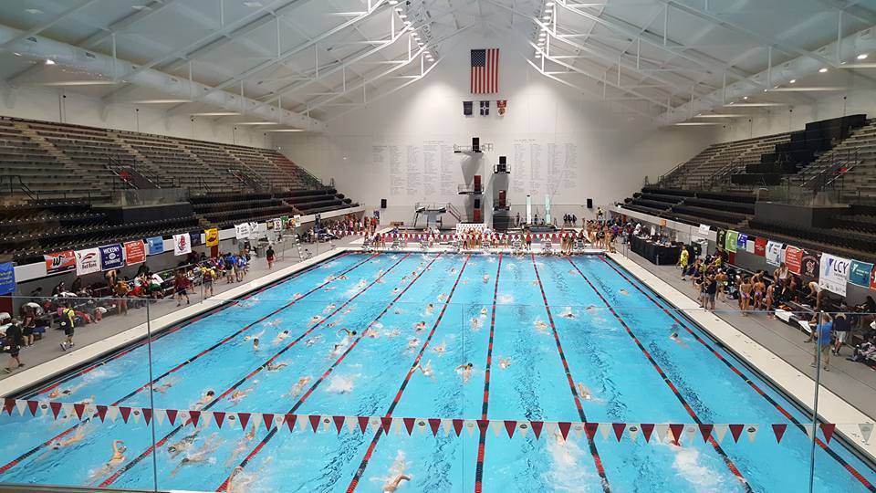 FanwoodScotch Plains YMCA Makes Waves at Swimming National