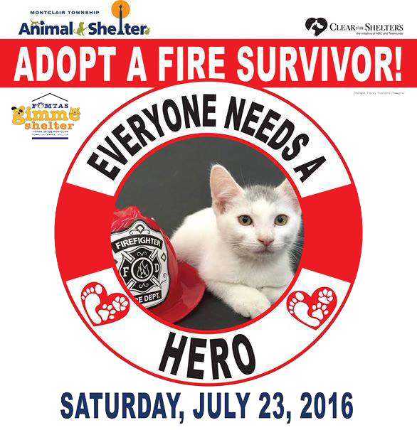 cd5f2eb7f6d4483722d9_fire-survivor.jpg
