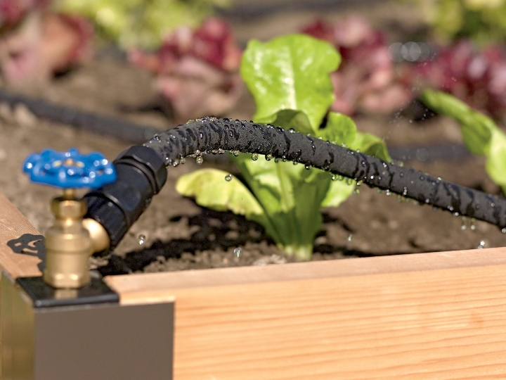 4ee855a3111a295a8392_Drip_Irrigation_raised_bed_photo_2015.jpg