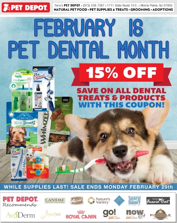 af2e344cc98c12997cdc_173f77da5a704ddda41e_Dental_Promo_022016.jpg