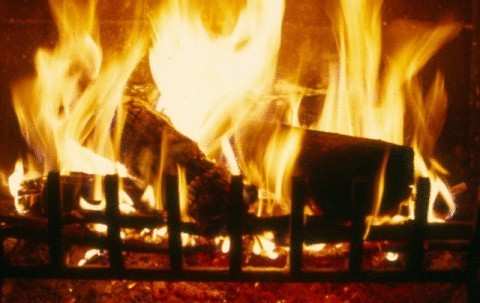597975be4b87554c66a2_yulelog_fire.jpg