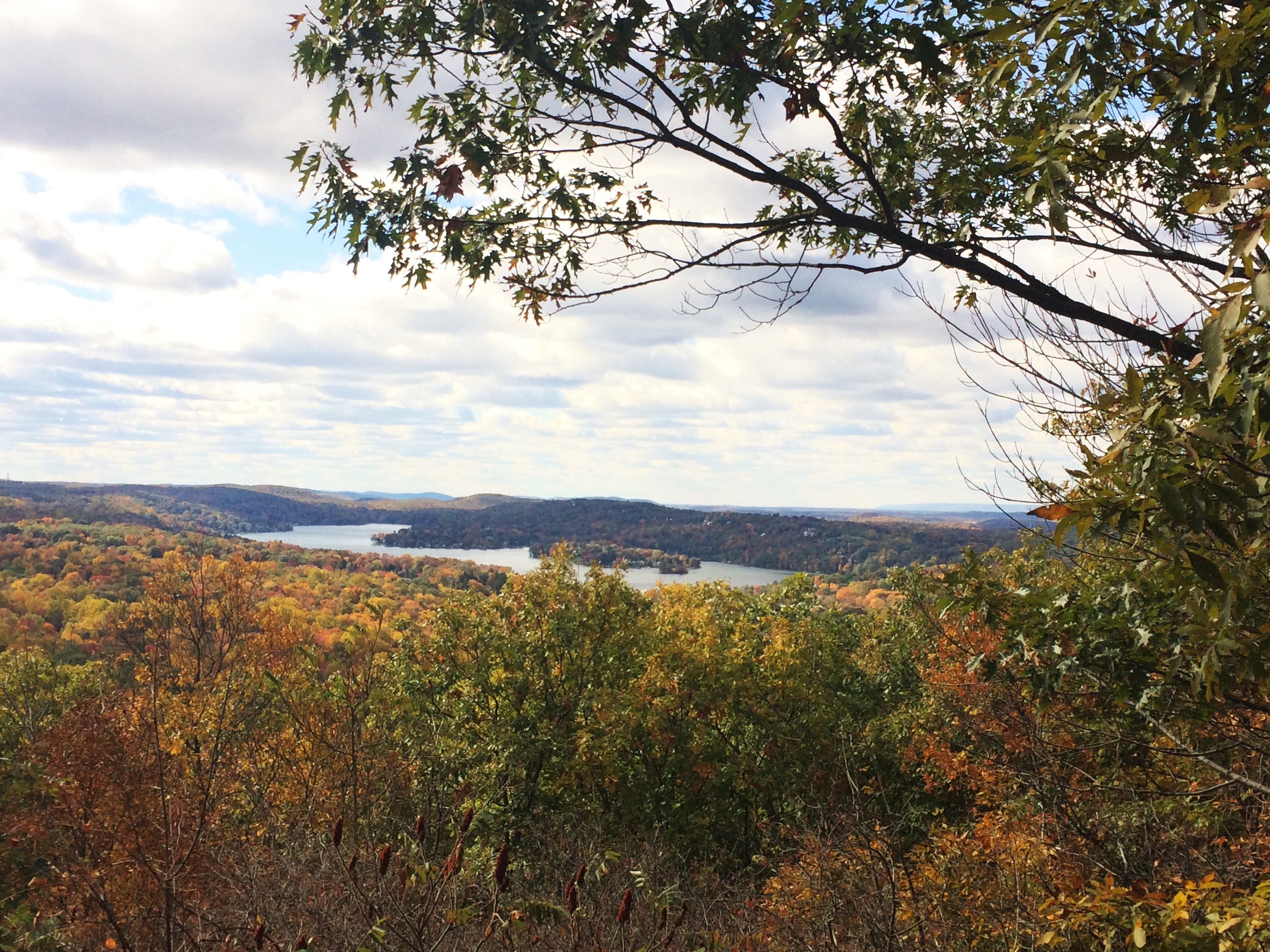 d651a79a7dc43a723546_Sparta_Glen_2015.jpg