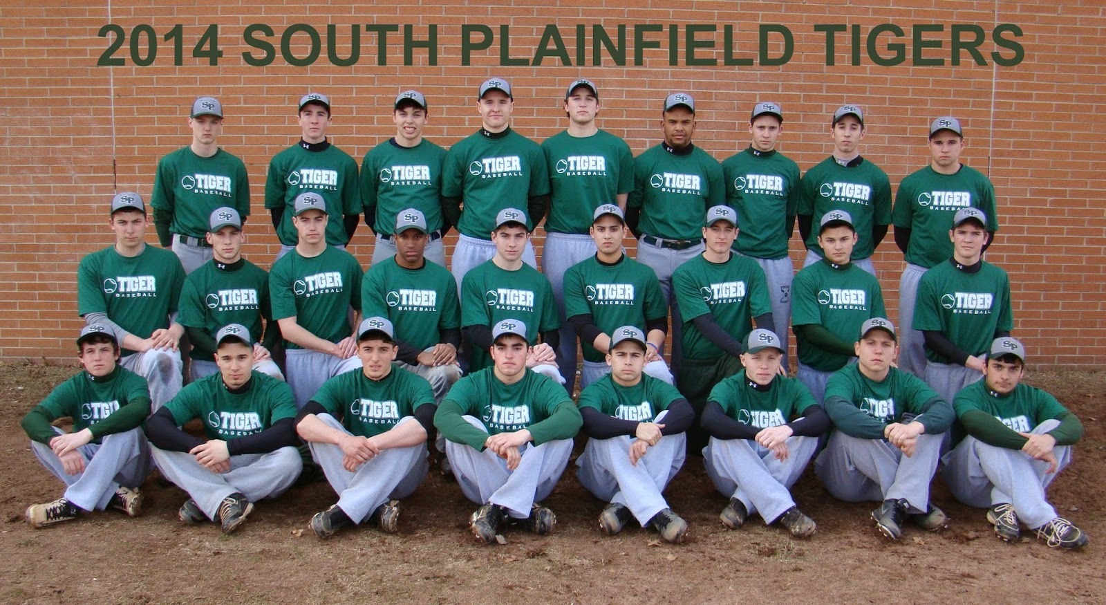 2dabd43db557f5c472d9_Tigers_Baseball.jpg